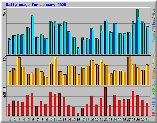 Daily usage for January 2026