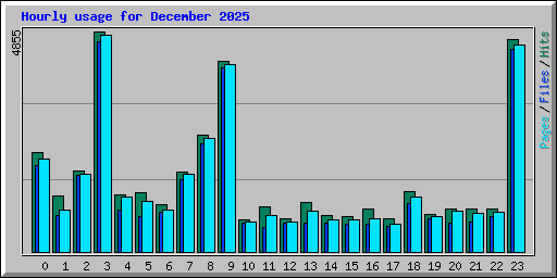 Hourly usage for December 2025