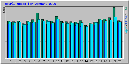 Hourly usage for January 2026