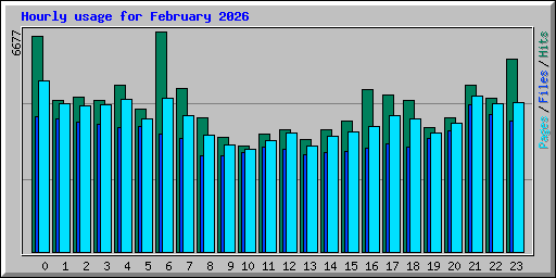 Hourly usage for February 2026