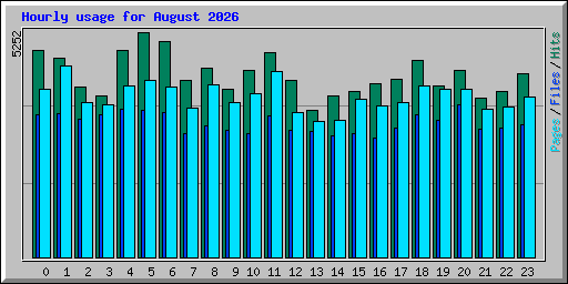 Hourly usage for August 2026